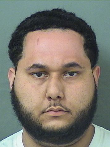  TYSON R BERTOT Resultados de la busqueda para Palm Beach County Florida para  TYSON R BERTOT