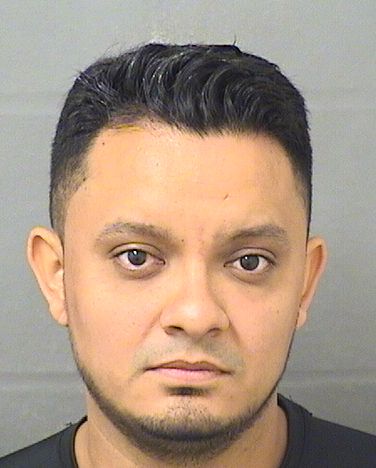  MARVIN POLANCO Results from Palm Beach County Florida for  MARVIN POLANCO