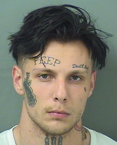  JAKOB S STELLWAG Results from Palm Beach County Florida for  JAKOB S STELLWAG