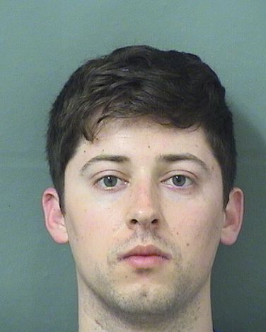  MICHAEL ITALO VALIANT Results from Palm Beach County Florida for  MICHAEL ITALO VALIANT
