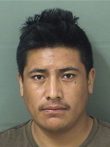  GELMER GUTIERREZ Results from Palm Beach County Florida for  GELMER GUTIERREZ