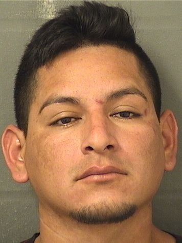  RAFAEL FLORES MATA Results from Palm Beach County Florida for  RAFAEL FLORES MATA