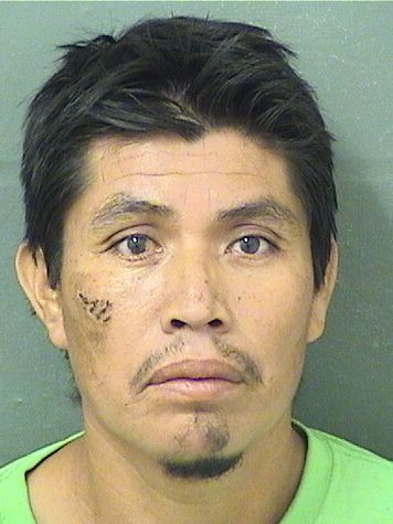  DOMINGO MARGARITO FRANCISCO Results from Palm Beach County Florida for  DOMINGO MARGARITO FRANCISCO