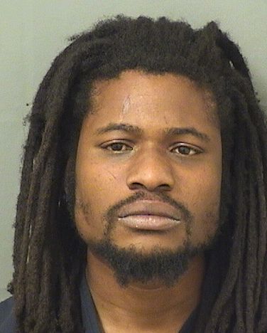  DAMIAN M WILLIAMS Results from Palm Beach County Florida for  DAMIAN M WILLIAMS