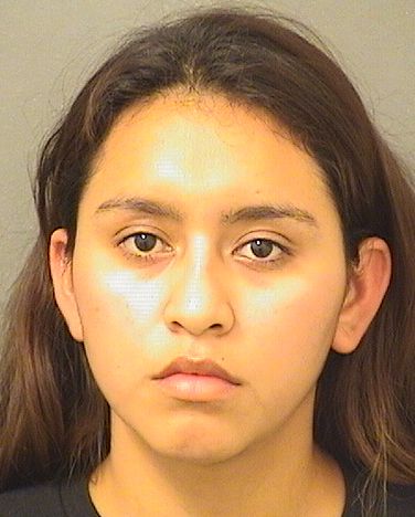  KAREM HERNANDEZ Results from Palm Beach County Florida for  KAREM HERNANDEZ