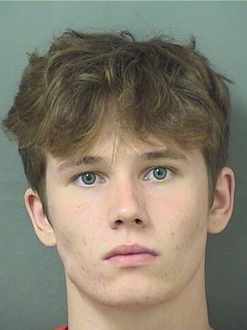  JOHNATHEN RYAN MCDERMOTT Results from Palm Beach County Florida for  JOHNATHEN RYAN MCDERMOTT