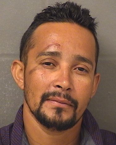  RAFAEL J MATUTE Resultados de la busqueda para Palm Beach County Florida para  RAFAEL J MATUTE