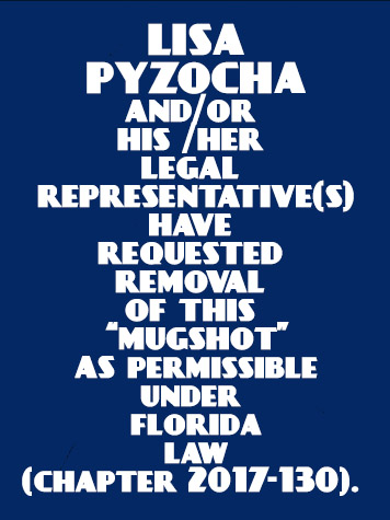  LISA PYZOCHA Results from Palm Beach County Florida for  LISA PYZOCHA
