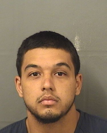  DANIEL GONCALVES CHUEKE Resultados de la busqueda para Palm Beach County Florida para  DANIEL GONCALVES CHUEKE