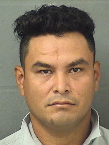  JOSE DE JESUS MUNGUIACELIX Results from Palm Beach County Florida for  JOSE DE JESUS MUNGUIACELIX