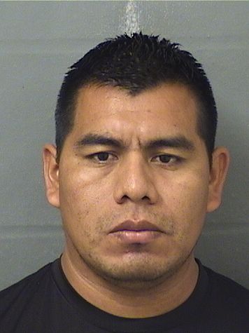 JULIO R LUIS Photos For  JULIO R LUIS  JULIO R LUIS Photo For  JULIO R LUIS