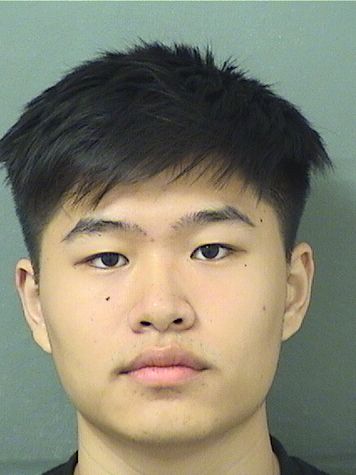  DAVID FENG CHEN Results from Palm Beach County Florida for  DAVID FENG CHEN