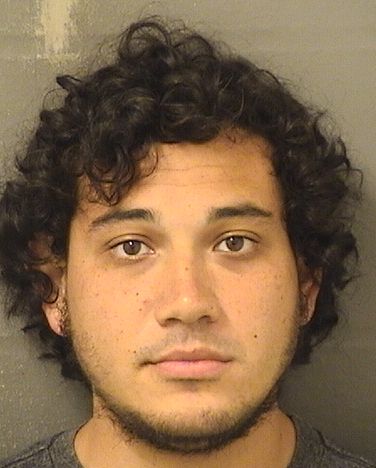  MATTHEW WOLFSON Results from Palm Beach County Florida for  MATTHEW WOLFSON