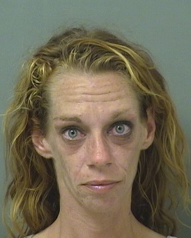  MEGHAN P PETITT Photo For  MEGHAN P PETITT