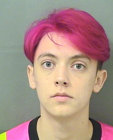  ANDREW JORDAN SNYDER Resultados de la busqueda para Palm Beach County Florida para  ANDREW JORDAN SNYDER