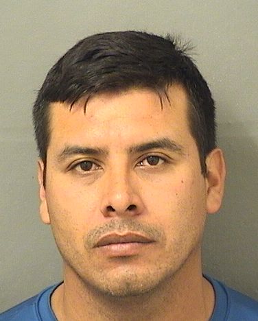  ELMER AVILAALFARO Resultados de la busqueda para Palm Beach County Florida para  ELMER AVILAALFARO