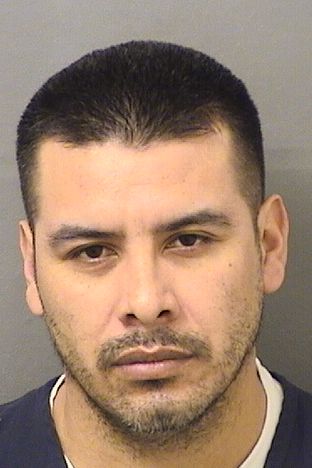  ELMER AVILAALFARO Results from Palm Beach County Florida for  ELMER AVILAALFARO