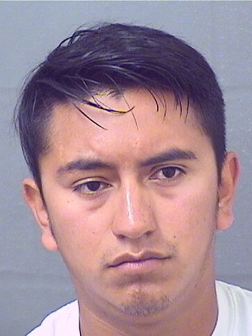  WERNER J ROBLERO Photo For  WERNER J ROBLERO