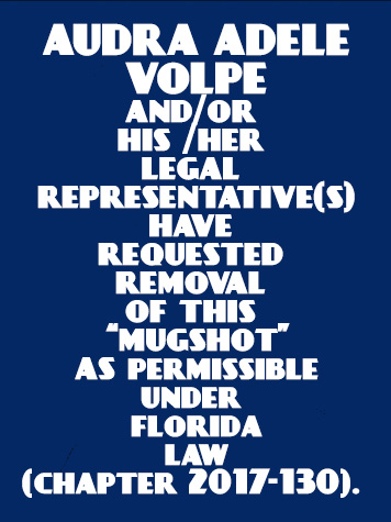  AUDRA ADELE VOLPE Results from Palm Beach County Florida for  AUDRA ADELE VOLPE