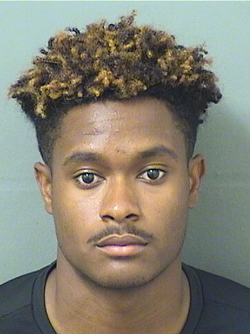  MERRICK LEE HARRIS Results from Palm Beach County Florida for  MERRICK LEE HARRIS