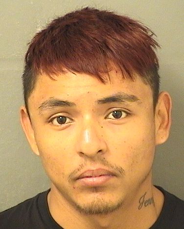  JOSE RONALDO RODRIGUEZMARTINEZ Resultados de la busqueda para Palm Beach County Florida para  JOSE RONALDO RODRIGUEZMARTINEZ