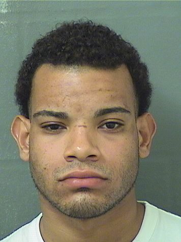  MARK ANGELO NUNEZ Results from Palm Beach County Florida for  MARK ANGELO NUNEZ