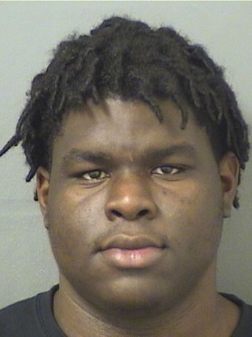  JEFFREY H LAFONTANT Results from Palm Beach County Florida for  JEFFREY H LAFONTANT