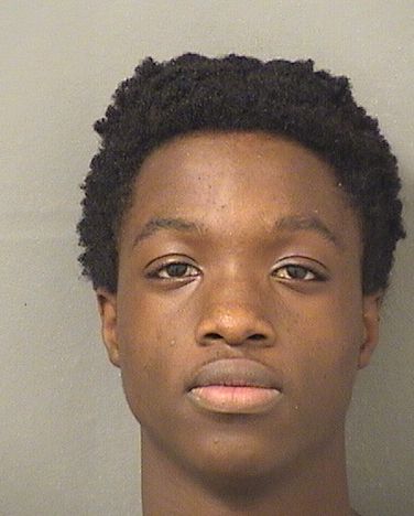  KENNETH JAMAL HOLLIS Results from Palm Beach County Florida for  KENNETH JAMAL HOLLIS