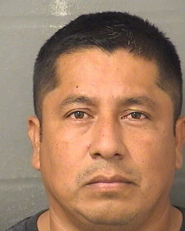 JORGE TERANGARRIDO Results from Palm Beach County Florida for JORGE TERANGARRIDO JORGE TERANGARRIDO Results from Palm Beach County Florida for JORGE TERANGARRIDO