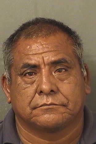  TOMAS FELIPEDOMINGO Photo For  TOMAS FELIPEDOMINGO