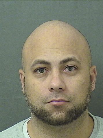  RYAN B MEDINA Results from Palm Beach County Florida for  RYAN B MEDINA