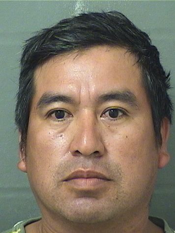  JOSUE ENEMIAS JIMENEZVELASQUEZ Resultados de la busqueda para Palm Beach County Florida para  JOSUE ENEMIAS JIMENEZVELASQUEZ