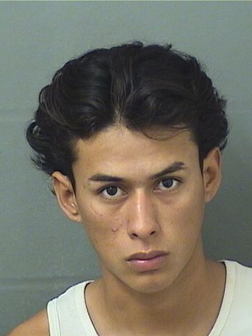  ALFONZO RAMIREZMARQUIN ROLANDO Results from Palm Beach County Florida for  ALFONZO RAMIREZMARQUIN ROLANDO