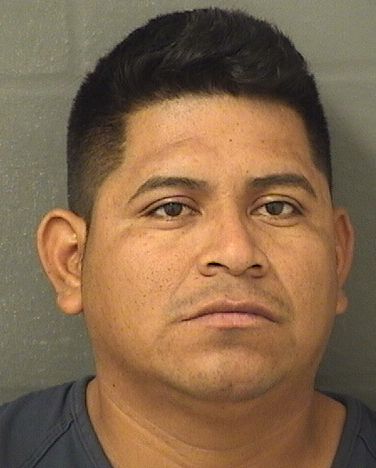 JUAN FELIPEDOMINGO Results from Palm Beach County Florida for JUAN FELIPEDOMINGO JUAN FELIPEDOMINGO Results from Palm Beach County Florida for JUAN FELIPEDOMINGO