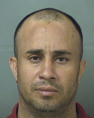  HENRY PACHECOTORRES Results from Palm Beach County Florida for  HENRY PACHECOTORRES
