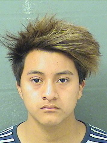  ALEXANDER B DELEONPEREZ Results from Palm Beach County Florida for  ALEXANDER B DELEONPEREZ