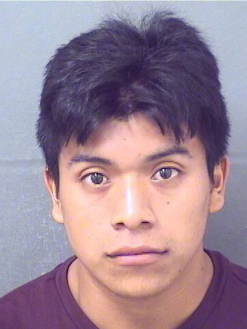  JOSE JOSERAMIREZ Results from Palm Beach County Florida for  JOSE JOSERAMIREZ