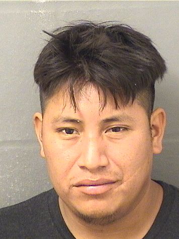  VIRGILIIO VELASQUEZ Results from Palm Beach County Florida for  VIRGILIIO VELASQUEZ