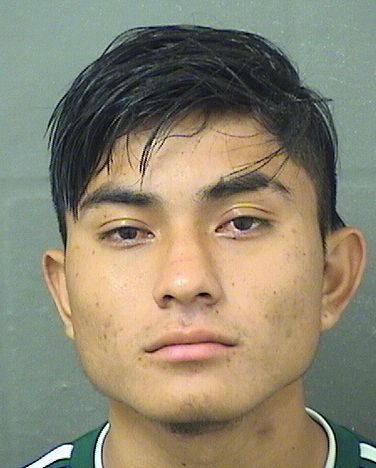  ROLANDO VENEGASVILLALOBOS Results from Palm Beach County Florida for  ROLANDO VENEGASVILLALOBOS