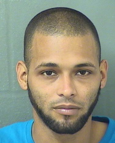  GIOVANNI DANIEL ROMANJIMENEZ Results from Palm Beach County Florida for  GIOVANNI DANIEL ROMANJIMENEZ