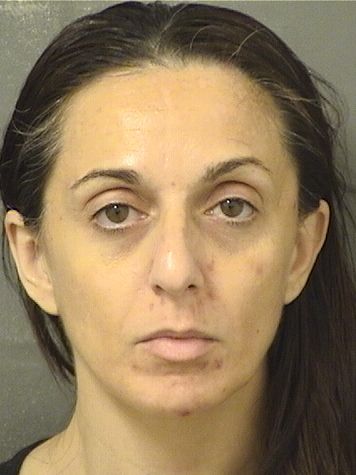  MELISSA ANN DEMATTIA Results from Palm Beach County Florida for  MELISSA ANN DEMATTIA