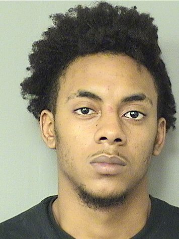  DAMIEN RICHARD FLOWERS Results from Palm Beach County Florida for  DAMIEN RICHARD FLOWERS