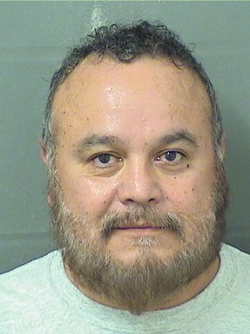  JOSE LUIS REYESFRIXONE Results from Palm Beach County Florida for  JOSE LUIS REYESFRIXONE