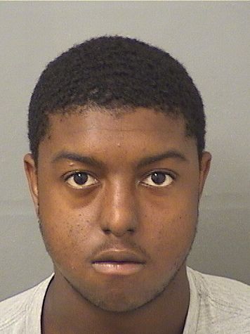  LYNNDELL FAIZONE HICKS Results from Palm Beach County Florida for  LYNNDELL FAIZONE HICKS