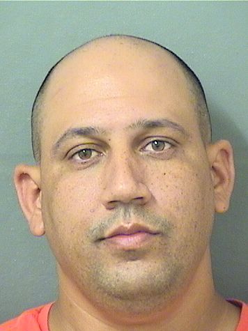  JOEL JESUS PEREZDELALLANA Results from Palm Beach County Florida for  JOEL JESUS PEREZDELALLANA