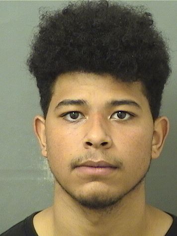  DEVIN L OWENS Resultados de la busqueda para Palm Beach County Florida para  DEVIN L OWENS