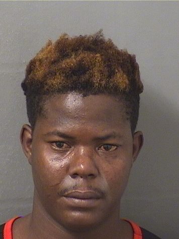 STANLEY LEBRUN Results from Palm Beach County Florida for STANLEY LEBRUN STANLEY LEBRUN Results from Palm Beach County Florida for STANLEY LEBRUN
