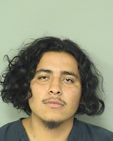  ELVI RODRIGUEZ Resultados de la busqueda para Palm Beach County Florida para  ELVI RODRIGUEZ