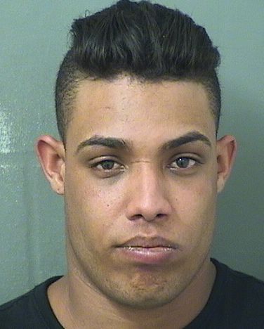  ORLANDO LEON FREIREROJAS Results from Palm Beach County Florida for  ORLANDO LEON FREIREROJAS
