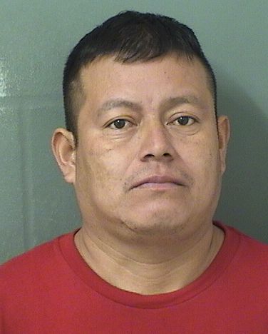  JAIME MANUEL HERNANDEZPEREZ Results from Palm Beach County Florida for  JAIME MANUEL HERNANDEZPEREZ